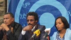 የሰማያዊ ፓርቲ አቤቱታና የመንግሥት ምላሽ