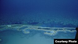 Along the segmented shoreline of the brine pool, in this photo provided by the research ship Nautilus. 