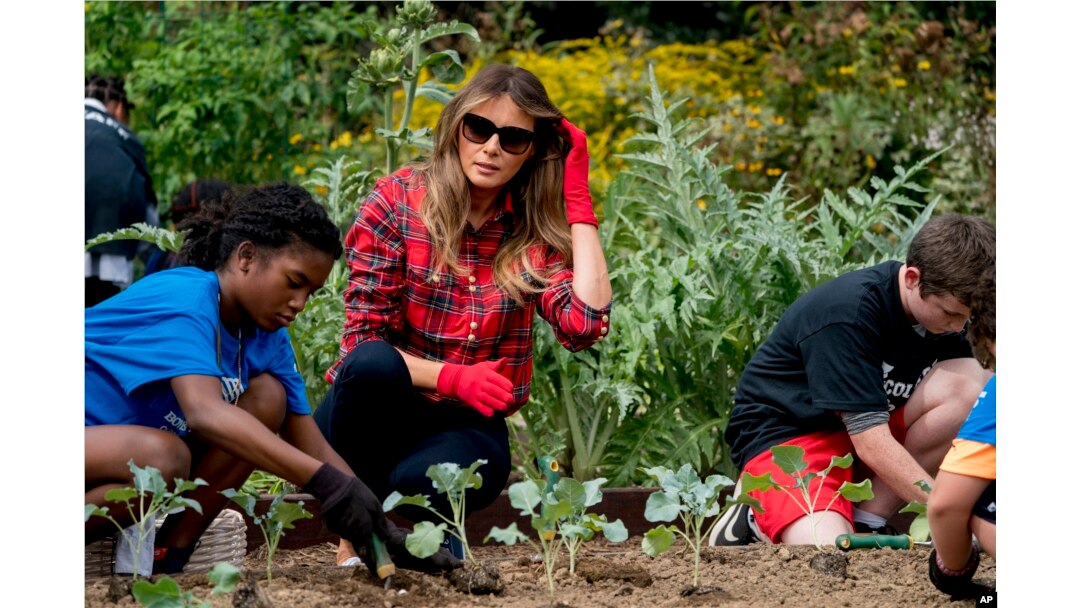 The Brains Secret Gardeners >> The Health Benefits Of Gardening The Brains Secret Gardeners >> The Health Benefits Of Gardening