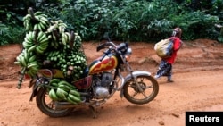 Une paysanne près d'une moto chargée de bananes, entre Mundemba et le village de Fabe, au Cameroun, le 8 juin 2012.