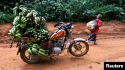 FILE - A motorbike laden with locally-picked bananas is seen parked on a dirt road between the town of Mundemba and village of Fabe, Cameroon, June 8, 2012.