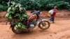 "Mais elle est où la libre circulation là" en Afrique centrale ?