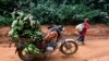 Plus de 200 agriculteurs portent plainte contre un gros projet d'huile de palme au Cameroun