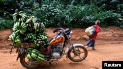 Une moto chargée des bananes localement cueillies garée près d’une plantation près de la ville de Mundemba et du village de Fabe, au Cameroun, 8 juin 2012. 