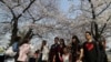 South Koreans Not Worried by Talk of War