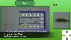 Microscopio Pac-Man educacional