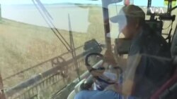 USA Farmers Amid COVID-19 Pandemic