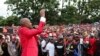 Nelson Chamisa