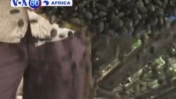 VOA60 Africa 22 Nov 12 Portugues