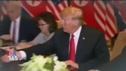 اخبار شامگاهی