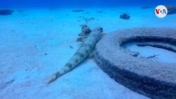 Latinoamérica se suma a la lucha mundial contra la basura marina