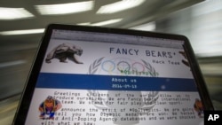 На цьому ілюстративному фото видно знімок вебсайту ймовірної російської групи кібершпигунства Fancy Bears, 14 вересня 2016 р. (Фото: AP Photo/Олександр Земляніченко)