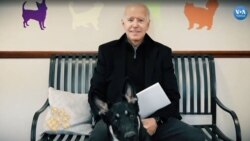 Beyaz Saray’ın Yeni Tüylü Sakinleri: Major ve Champ