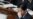 Japan Downgrades Economic Forecast