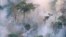 The forest burns near Prey Long, Cambodia, in this undated photo. 