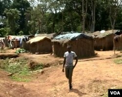 A village settlement near Meiganga, Cameroon. (M. Kindzeka/VOA)