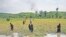 ဘင်္ဂလားဒေ့ရှ်ဘက်ကို ထွက်ပြေးလာတဲ့ရိုဟင်ဂျာ တချို့ (သြဂုတ်လ ၂၀၁၇)