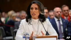 archivo - Tulsi Gabbard, nominada por el presidente Donald Trump como directora de Inteligencia Nacional, llega ante la Comisión de Inteligencia del Senado en su audiencia de confirmación, en el Capitolio, el jueves 30 de enero de 2025, en Washington. (AP Foto/John McDonnell). 