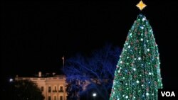 El árbol de Navidad Nacional, en la Casa Blanca, durante la ceremonia de encendido el 9 de diciembre de 2010.