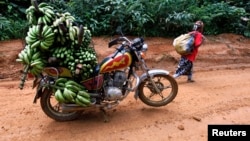 Un moto chargé de banane sur la route entre la ville de Mundemba et le village de Fabe, Cameroun, le 8 juin 2012.