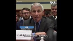 弗契:情况会越来越糟