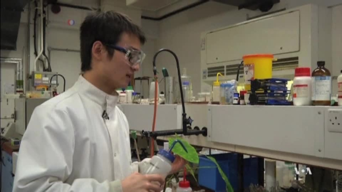 New Paint Repels Oil and Water