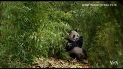 Relationships Between Hollywood and China Film Industry Deepen