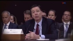 اخبار شامگاهی