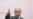 Who Are the Libyan Rebels?