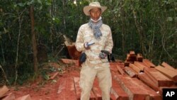 In this photo taken Feburary 6, 2012 and released by The Cambodian Center for Human Rights (CCHR), Chut Wutty stands on wooden planks of log in a jungle in Kampong Thom province in northern of Phnom Penh, Cambodia.