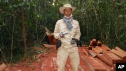 In this photo released by the Cambodian Center for Human Rights, environmentalist Chut Wutty stands on wooden planks in a jungle in Kampong Thom province, Cambodia, Feb. 6, 2012. He was fatally shot later in the year.