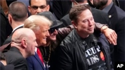 Trump e Musk