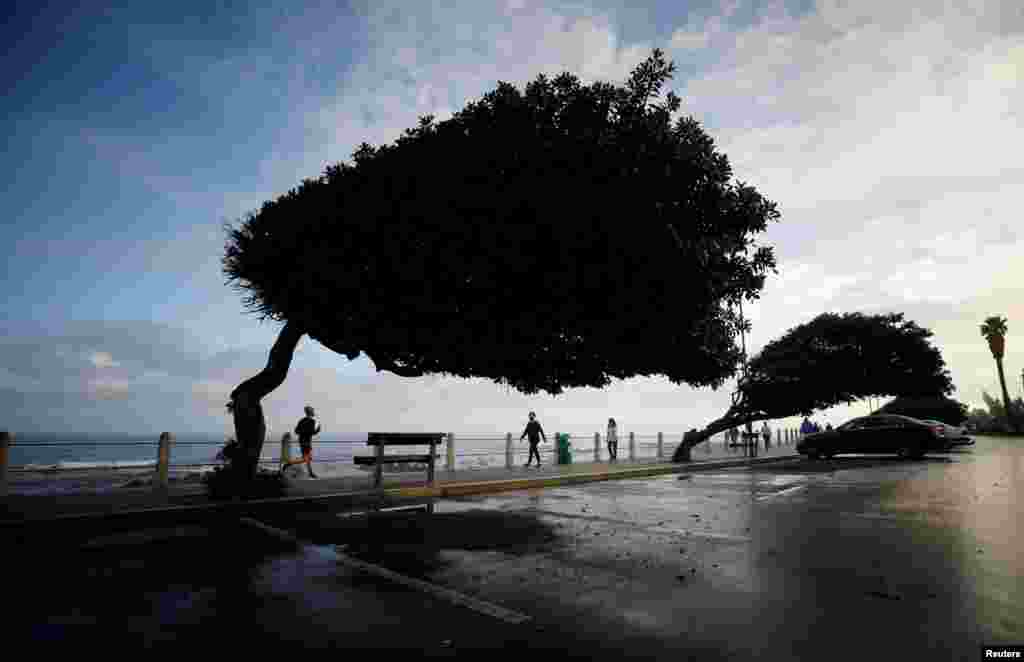 People make the most of the time they are permitted to exercise during a nationwide COVID-19 lockdown, in Cape Town, South Africa.