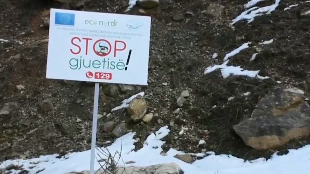Shqipëri, shtohet gjuetia e paligjshme gjatë pandemisë