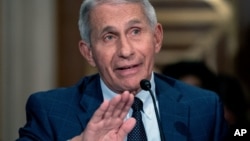 Dr. Anthony Fauci, director of the National Institute of Allergy and Infectious Diseases, testifies before the Senate Health, Education, Labor, and Pensions Committee at the Dirksen Senate Office Building in Washington, July 20, 2021.