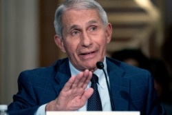 FILE - Dr. Anthony Fauci, director of the National Institute of Allergy and Infectious Diseases, testifies before the Senate Health, Education, Labor, and Pensions Committee at the Dirksen Senate Office Building in Washington, July 20, 2021.