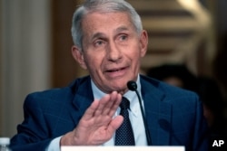 FILE - Dr. Anthony Fauci, director of the National Institute of Allergy and Infectious Diseases, testifies before the Senate Health, Education, Labor, and Pensions Committee at the Dirksen Senate Office Building in Washington, July 20, 2021.