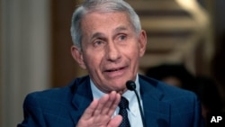 Dr. Anthony Fauci, director of the National Institute of Allergy and Infectious Diseases, testifies before the Senate Health, Education, Labor, and Pensions Committee at the Dirksen Senate Office Building in Washington, July 20, 2021.