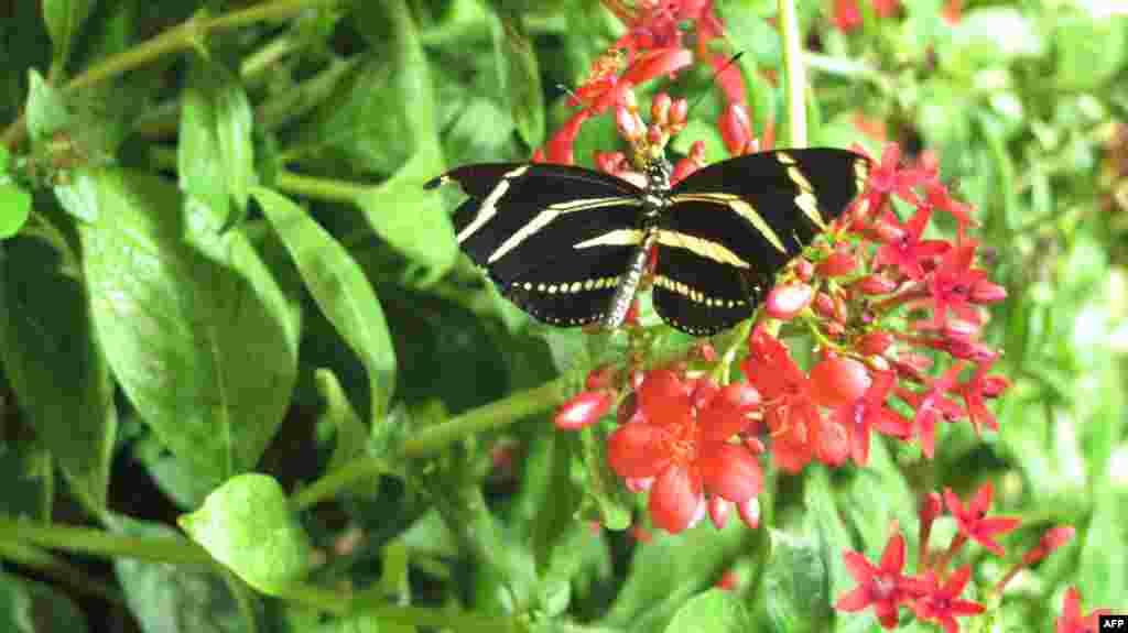 伊朗西北部受到地震破坏村镇的灾民在损毁的家园外面等候救助