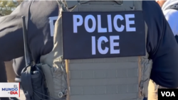 A member of U.S. Immigration and Customs Enforcement is seen in this screen grab from a VOA Spanish video.