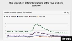 This graphic produced for Google Trends shows the top coronavirus symptom searches on the Google search engine. (Google)