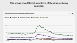 This graphic produced for Google Trends shows the top coronavirus symptom searches on the Google search engine. (Google)