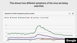 This graphic produced for Google Trends shows the top coronavirus symptom searches on the Google search engine. (Google)