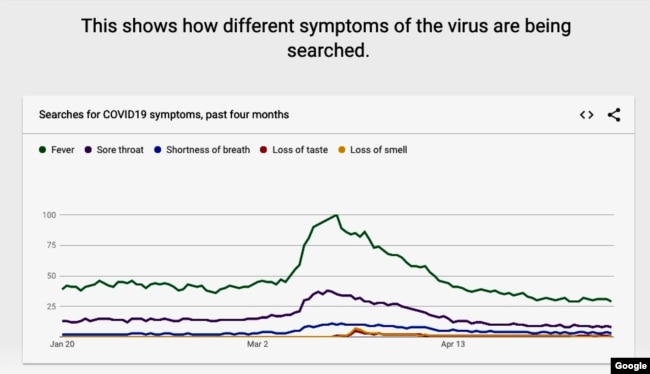 This graphic produced for Google Trends shows the top coronavirus symptom searches on the Google search engine. (Google)