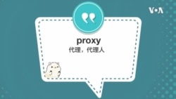 学个词 - proxy