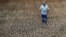 FILE - Riaan du Plessis, a farmer, stands on the cracked earth that three weeks ago was the bottom of a reservoir on his farm in Groot Marico, South Africa, Nov. 12, 2015. Six of South Africa's nine provinces have been hit by drought.