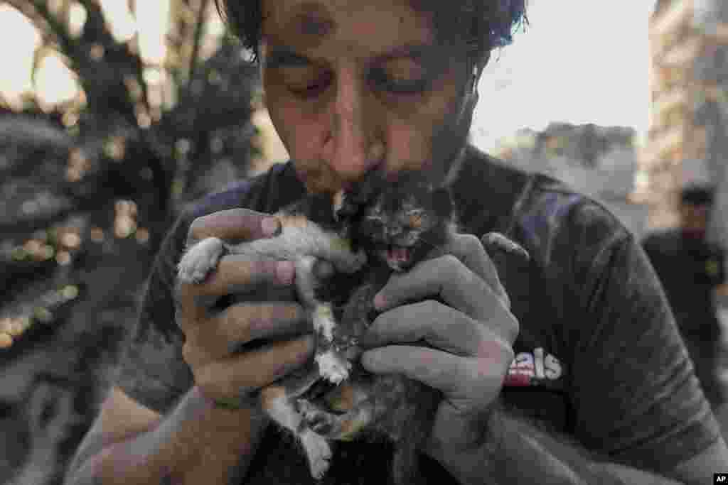 Kamal Khatib, a volunteer with the Animals Lebanon rescue group, kisses kittens after rescuing them from debris of destroyed buildings at the site of an Israeli airstrike, in Beirut, Lebanon, Oct. 11, 2024.