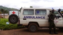 Une épidémie de choléra fait près d'une vingtaine de morts au Cameroun