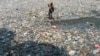 งานวิจัยชี้ 90% ของขยะพลาสติกในมหาสมุทรมาจาก 'แม่น้ำ 10 สาย' ส่วนใหญ่อยู่ในเอเชีย