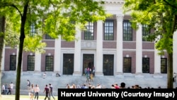 The steps of Widener Library at Harvard University Rose Lincoln/Harvard Staff Photographer